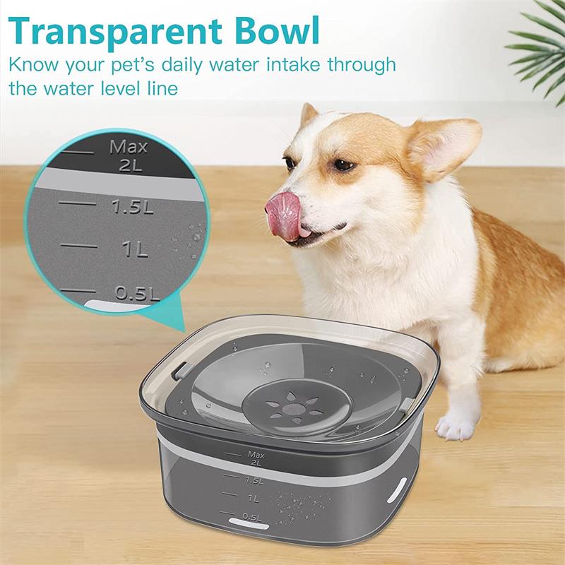 Spill Proof Dog Bowl