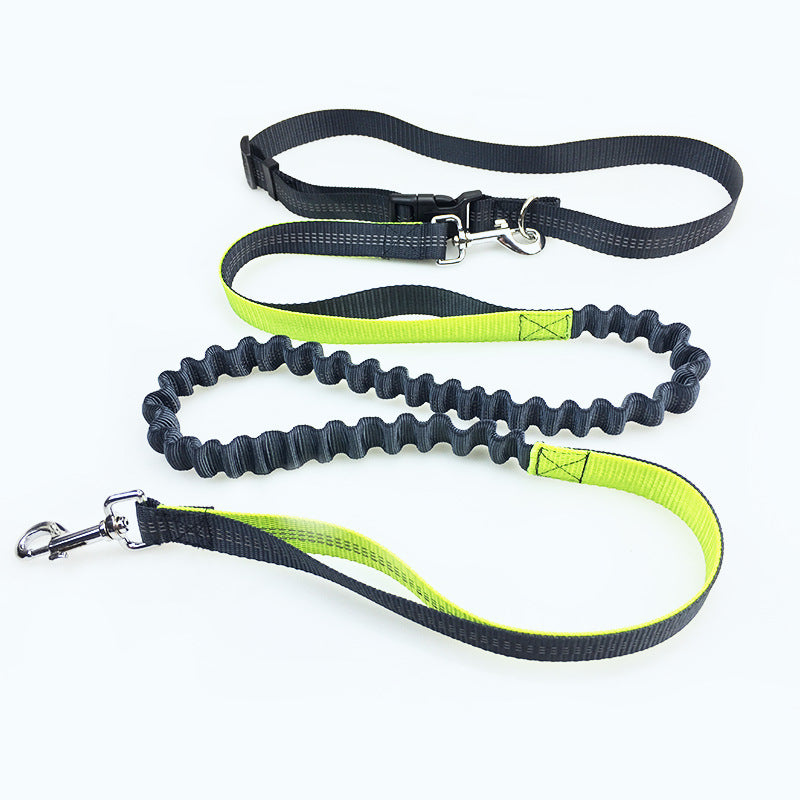 DoggieBelts™ Running Lead